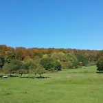 Jani Panzió Breitscheid