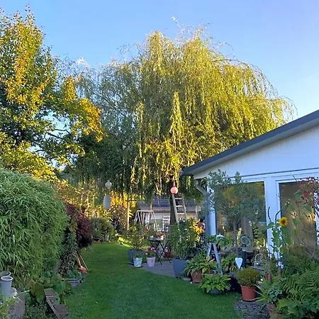 Jani * Breitscheid (Hessen)