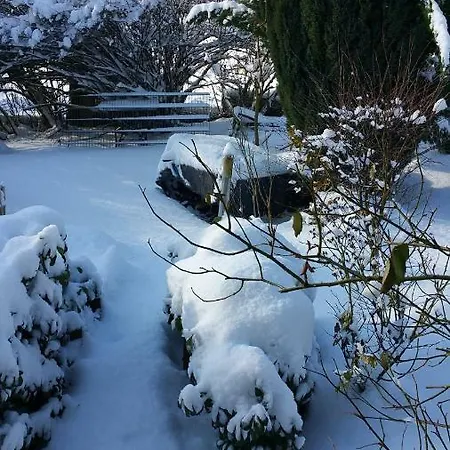 Jani Alojamento de Acomodação e Pequeno-almoço *