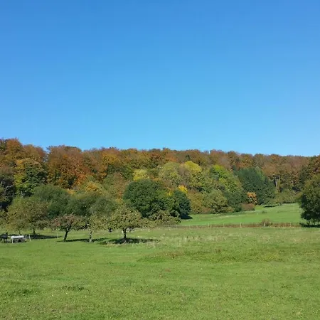 Jani Отель типа 