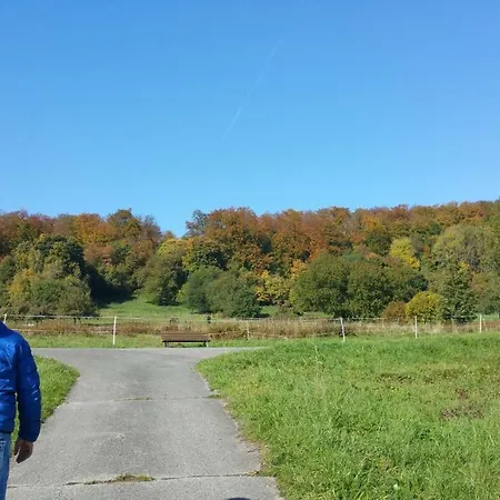 Bed & Breakfast Jani *