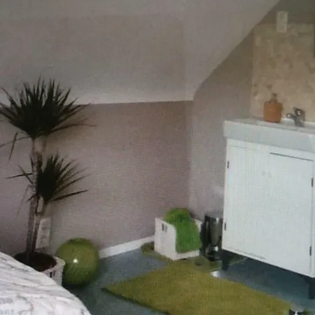 Jani Breitscheid (Hessen)