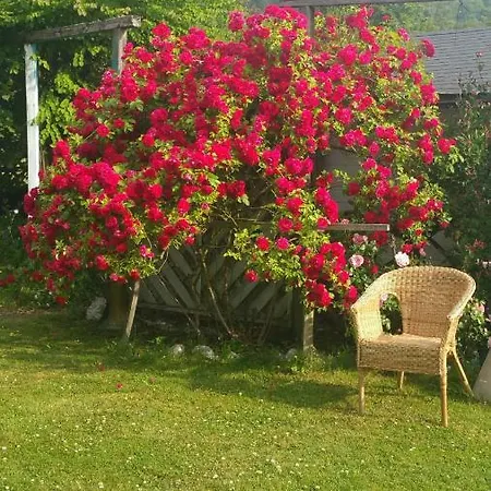 Bed & Breakfast Jani *