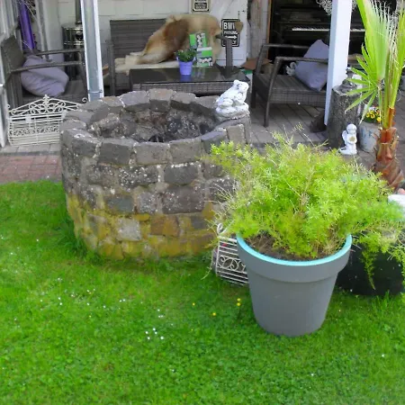 Jani Breitscheid (Hessen)