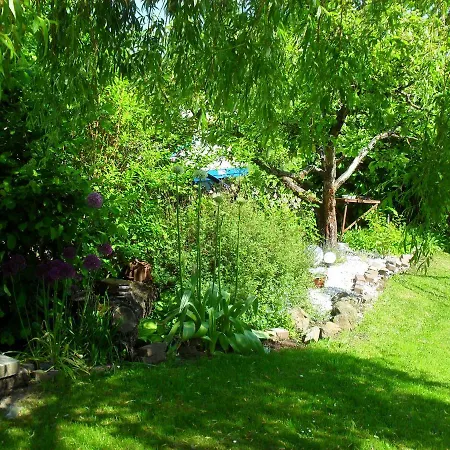 Jani Отель типа 