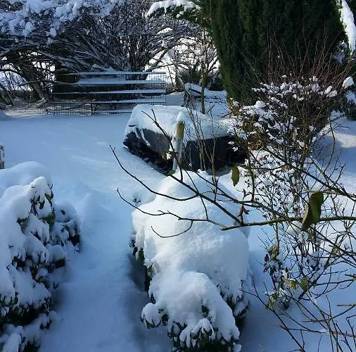 Jani فندق مبيت وإفطار *