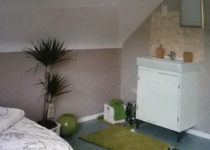 Jani Breitscheid (Hessen)