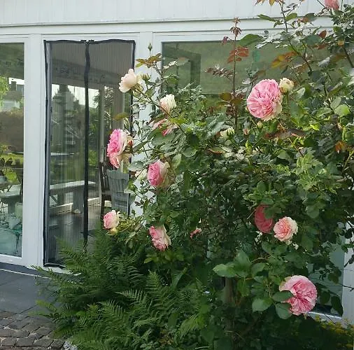 Jani Breitscheid (Hessen)