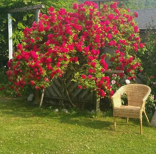 فندق مبيت وإفطار Jani *