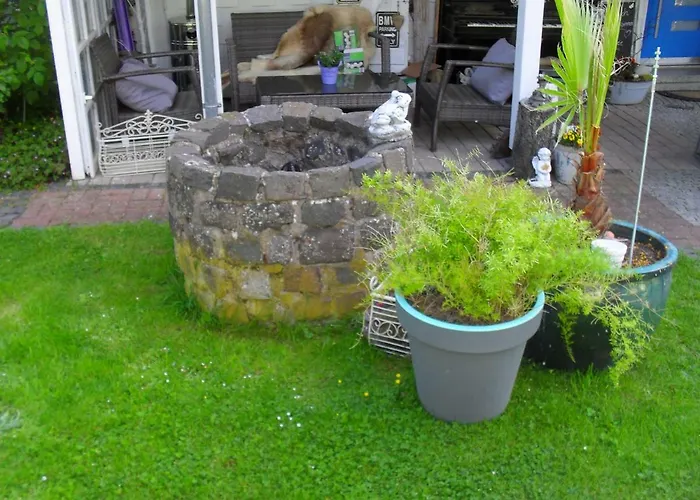 Jani Breitscheid (Hessen)