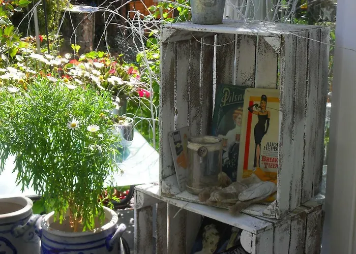 فندق مبيت وإفطار Jani